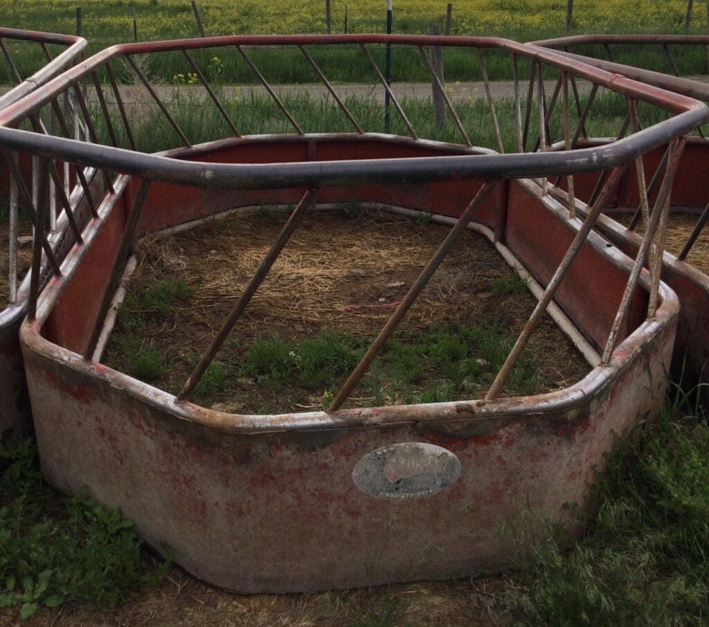 Kevin Hill AuctionIMG_5057 - Montana Auctions by Kevin Hill